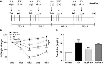 Human Liver Stem Cell-Derived Extracellular Vesicles Prevent Aristolochic Acid-Induced Kidney Fibrosis